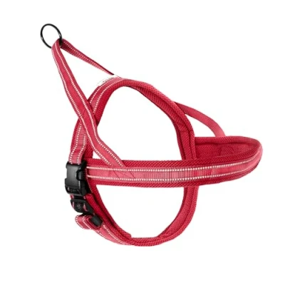 Imagen de Record Arnés para Perros Dolomitas Color Rojo Talla 2XS Circunferencia 42 50 cm Material: Nailon Trenzado con Bandas Reflectantes 3M ScotchLite