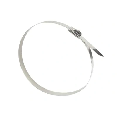 Imagen de Good Connections KAB E25X79 Bridas para cables (acero inoxidable, 250 mm x 7,9 mm, 20 unidades, resistente a los rayos UV, la intemperie, exteriores, de 60 C +550