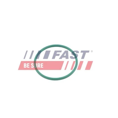Imagen de FAST FT49921 Junta anular, conducto aire admisión CITROËN: C4 I Grand Picasso, C5 II Hatchback, FORD: Focus 2, PEUGEOT: 308 Hatchback
