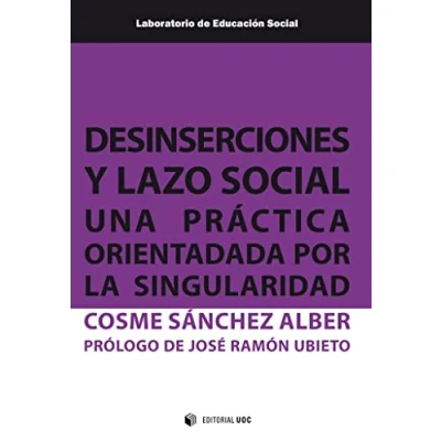 Imagen de Desinserciones y lazo social: Una práctica orientada por la singularidad: 26 (Laboratorio de Educación Social)