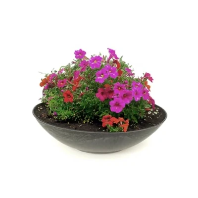 Imagen de matches21 Plato Redondo para Plantar Maceta con Flores de plástico Aspecto mármol Gris 1 ud. Ø 35x10 cm