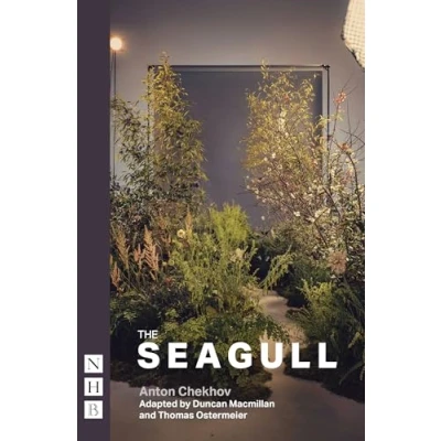 Imagen de The Seagull (nhb Modern Plays) (ebook)