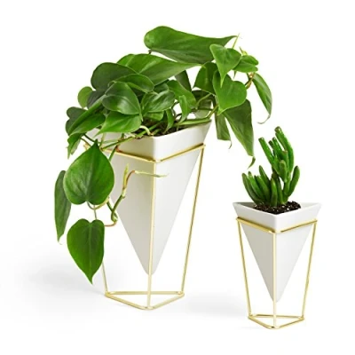 Imagen de Umbra Trigg recipientes decorativos para mesa, juego de 2, Dolomita, Blanco/Dorado