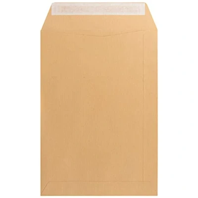 Imagen de Sobre bolsa kraft salarios 120x176 mm tira de silicona caja 1000 unidades.
