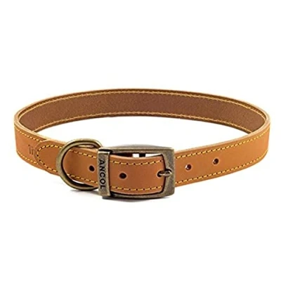 Imagen de Ancol Timberwolf Collar de Perro Cuero Duradero y cómodo para Mascotas, Accesorio Entrenamiento 55 63 cm, Talla 8
