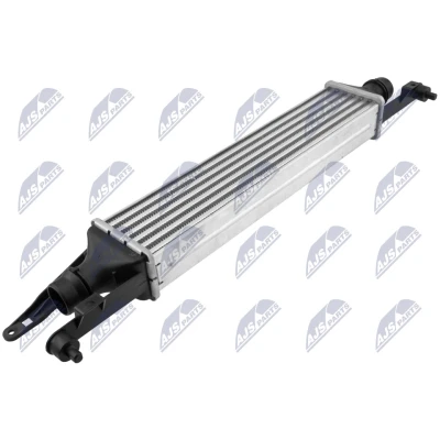 Imagen de Radiador de aire admisión NTY CNG PL 013