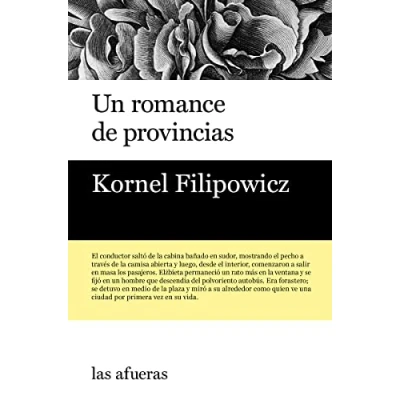 Imagen de Un romance de provincias (LAS AFUERAS)