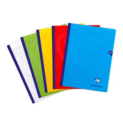 Imagen de Clairefontaine 309341C Lote de 5 cuadernos pintados cosidos hilo Mimesys 192 páginas, 24 x 32 cm, 90 g grandes, tapa polipro (plástico), colores ass