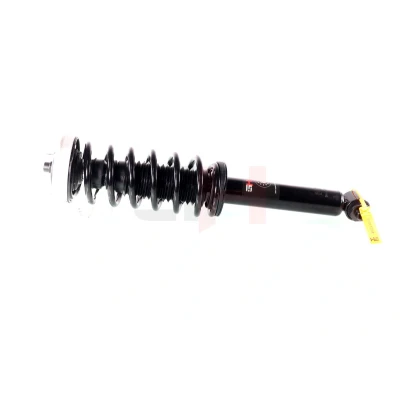 Imagen de GH 331565C01 Amortiguador telescópico Eje trasero, derecha, izquierda, trasero izquierda BMW: 7
