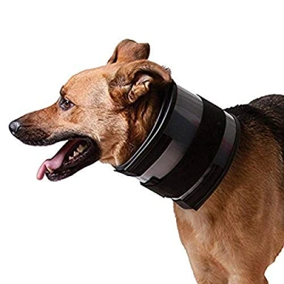 Imagen de KVP Collar Bite Free
