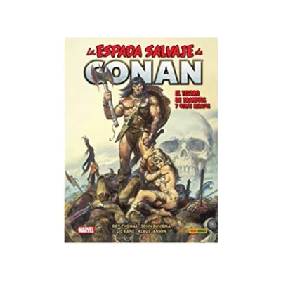 Imagen de BIBLIOTECA CONAN LA ESPADA SALVAJE DE N.15