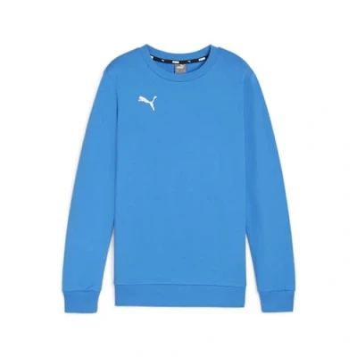 Imagen de PUMA Suéter de Punto Teamgoal Casual con Cuello Redondo para niño