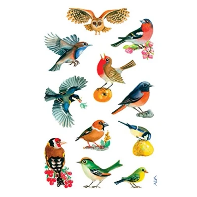 Imagen de Avery Zweckform Creative Pegatinas adhesivas (76 x 120 mm, 3 hojas), diseño de pájaros