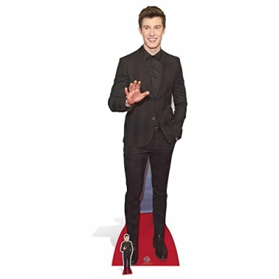 Imagen de STAR CUTOUTS &quot;Shawn Mendes (cartón, Multicolor