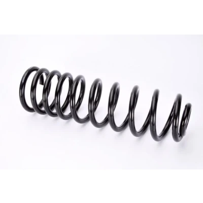 Imagen de Magnum Technology SW064MT Muelle de suspensión Eje trasero helicoidal