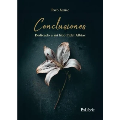 Imagen de Conclusiones. Dedicado a mi hijo Fidel Albiac