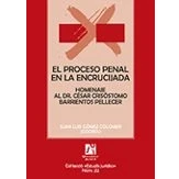 Imagen de El proceso penal en la encrucijada
