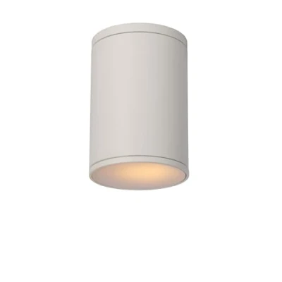 Imagen de LUCIDE TUBIX Foco de techo Dentro/Fuera Ø 10,8 cm 1xE27 IP54 Blanco