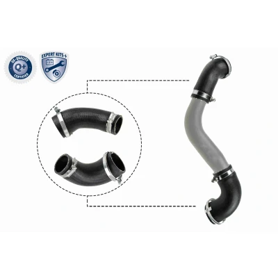 Imagen de VAICO V25 1921 Manguera Turbo EXPERT KITS + FORD: C Max 2, FOCUS 3, 3 Turnier