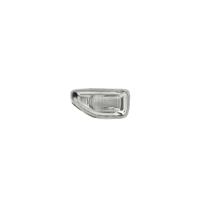 Imagen de TYC 18 0788 01 2 Intermitente blanco Delante, izquierda sin portalámparas DACIA: LOGAN MCV 2, SANDERO norauto, oscaro, mister auto