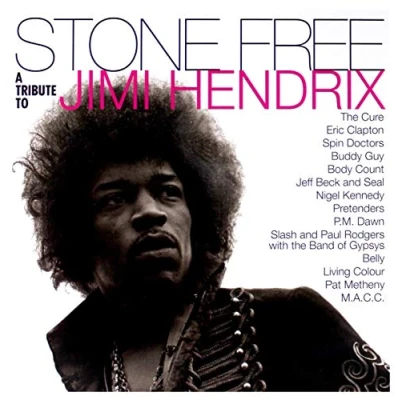 Imagen de Stone Free a Tribute To Jimi Hend (edición Vinilo)