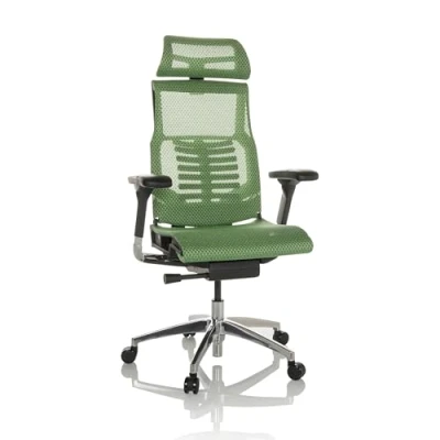 Imagen de hjh OFFICE Silla de Oficina Profesional POFIT GEN2 giratoria ergonómica Rejilla con Soporte Lumbar Flexible, Verde, 652286