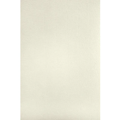 Imagen de Netuno 100x cartón verjurado color marfil DIN A4 297x210mm 220g Aster Laid Ivory papel acanalado con finas nervaduras texturizado certificado rasgado filigrana para impresora diplomas comunión