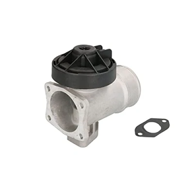 Imagen de MAGNETI MARELLI 571822112121 Válvula EGR MERCEDES BENZ: Clase A, Vaneo