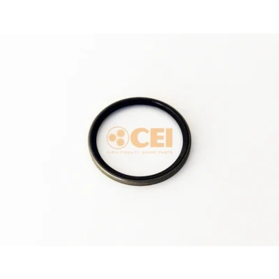 Imagen de CEI 189.738 Anillo obturador