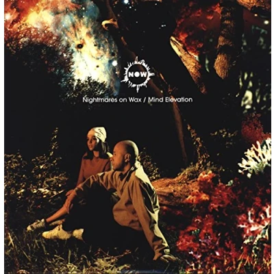 Imagen de Mind Elevation (vinilo)