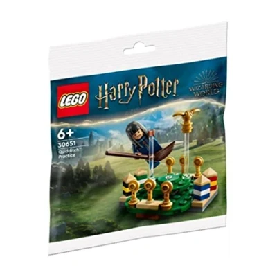 Imagen de LEGO Harry Potter Trening quidditcha (30651) [KLOCKI]