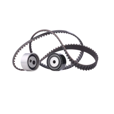 Imagen de SKF VKMA 03248 Kit de correa distribución 144 con perfil redondeado dientes CITROËN: Evasion, C8, Jumpy I Furgón, PEUGEOT: Expert I, 807