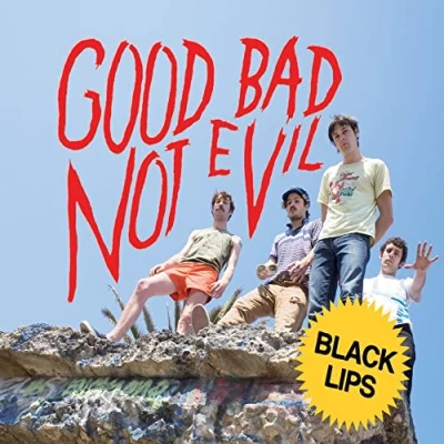 Imagen de Good Bad Not Evil [coloured VINYL] [Vinilo]
