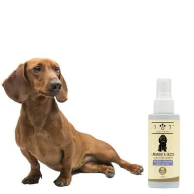 Imagen de Champú en seco natural para perros, lavado sin necesidad de agua ni aclarado, ingredientes origen vegetal, todos los tipos cabello, línea 101 (100 ml)