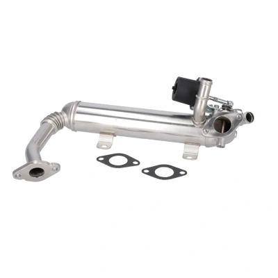 Imagen de Elemento enfriador, reciclaje gases escape FEBI BILSTEIN 193147