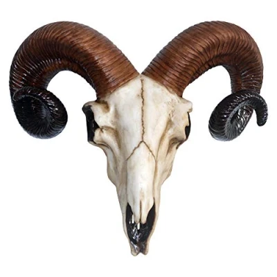 Imagen de Nemesis Now Rams Skull Placa de pared (tamaño mediano, 32,5 cm), color marfil