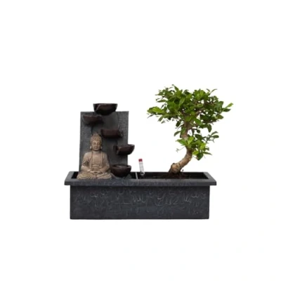 Imagen de Plant in a Box Bonsái con sistema de riego fácil cuidado y cascada sobre la figura Buda Set 2 Planta interior Altura 25 35cm