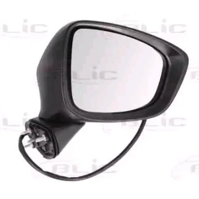 Imagen de Retrovisor exterior BLIC 5402 14 2001736P