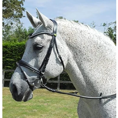 Imagen de Rhinegold Anatomic Bridle Full Havana Brida, Plein