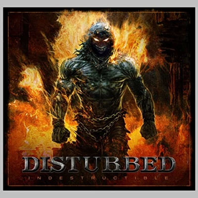 Imagen de Indestructible [Vinilo]