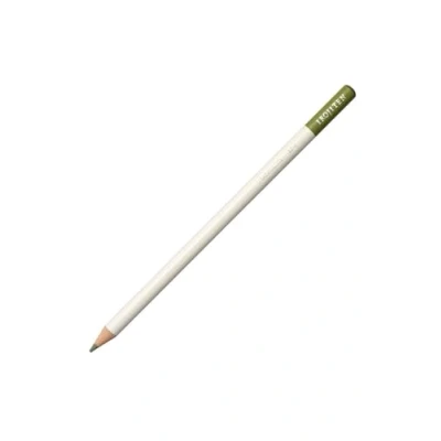 Imagen de Tombow IROJITEN Lapices de Colores Profesionales Calidad Ideal para Ilustraciones, Bullet Journaling, Mandalas Uso Doméstico y Profesional Color Sage Green
