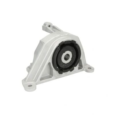 Imagen de REINHOCH RH11 1042 Soporte de motor izquierda FIAT: Doblo I Cargo, Familiar