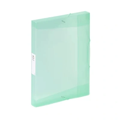 Imagen de Viquel Carpeta de 3 solapas plástico gran capacidad Propysoft Caja clasificación A4 con etiqueta identificación Verde pastel translúcido