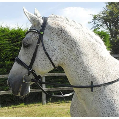 Imagen de Rhinegold Anatomic Cavesson Bridle Full Black Brida, Negro, Plein