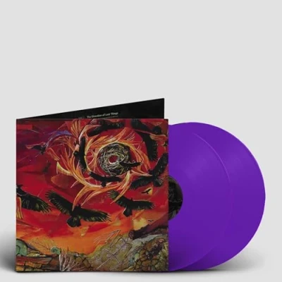 Imagen de The Direction Of Last Things [Vinilo]