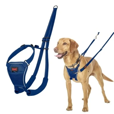 Imagen de Arnés Anti tirones HALTI para Evitar Que tu Perro Tire de la Correa, Ajustable, Ligero y Fácil Usar. Reflexiva Adiestramiento canino Perros medianos (Talla M, Azul Cobalto)
