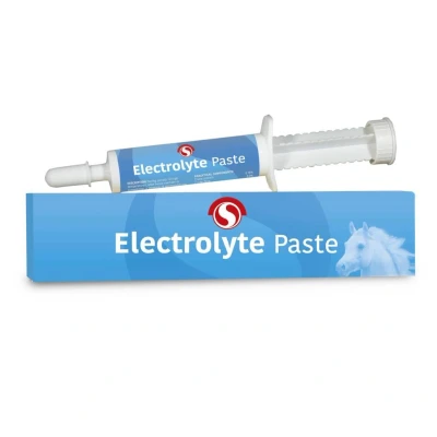 Imagen de Sectolin Electrolyte Paste