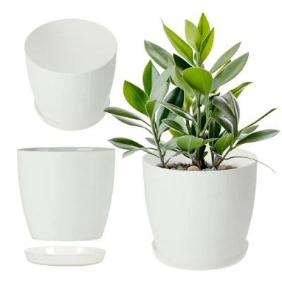Imagen de KADAX Macetero con Posavasos, Maceta Redonda de plástico, Mate para Cactus, helechos, Brillante balcón, apartamento y terraza (18 cm, Blanco)