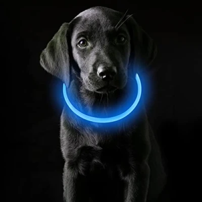Imagen de Coolzon Collar Luminoso Perro Recargable, Luz Impermeable con 3 Modos de Luz, Longitud Ajustable Collares LED para Perros Gatos Pequeño Mediano Grande, Azul