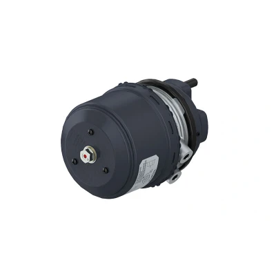Imagen de Cilindro de freno combinado WABCO 925 481 101 0